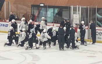 ‘Experts’ Didn’t Give Kraken Much Of A Chance