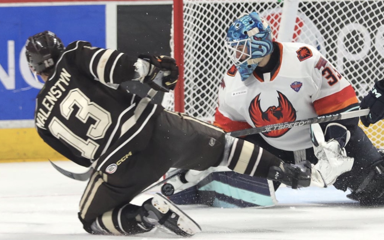 Seattle Kraken, Coachella Valley Firebirds, Hershey Bears