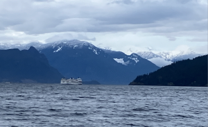 Screen Shot 2024 12 15 at 8.20.40 PM