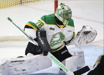 Canucks Add A Goalie And A Center