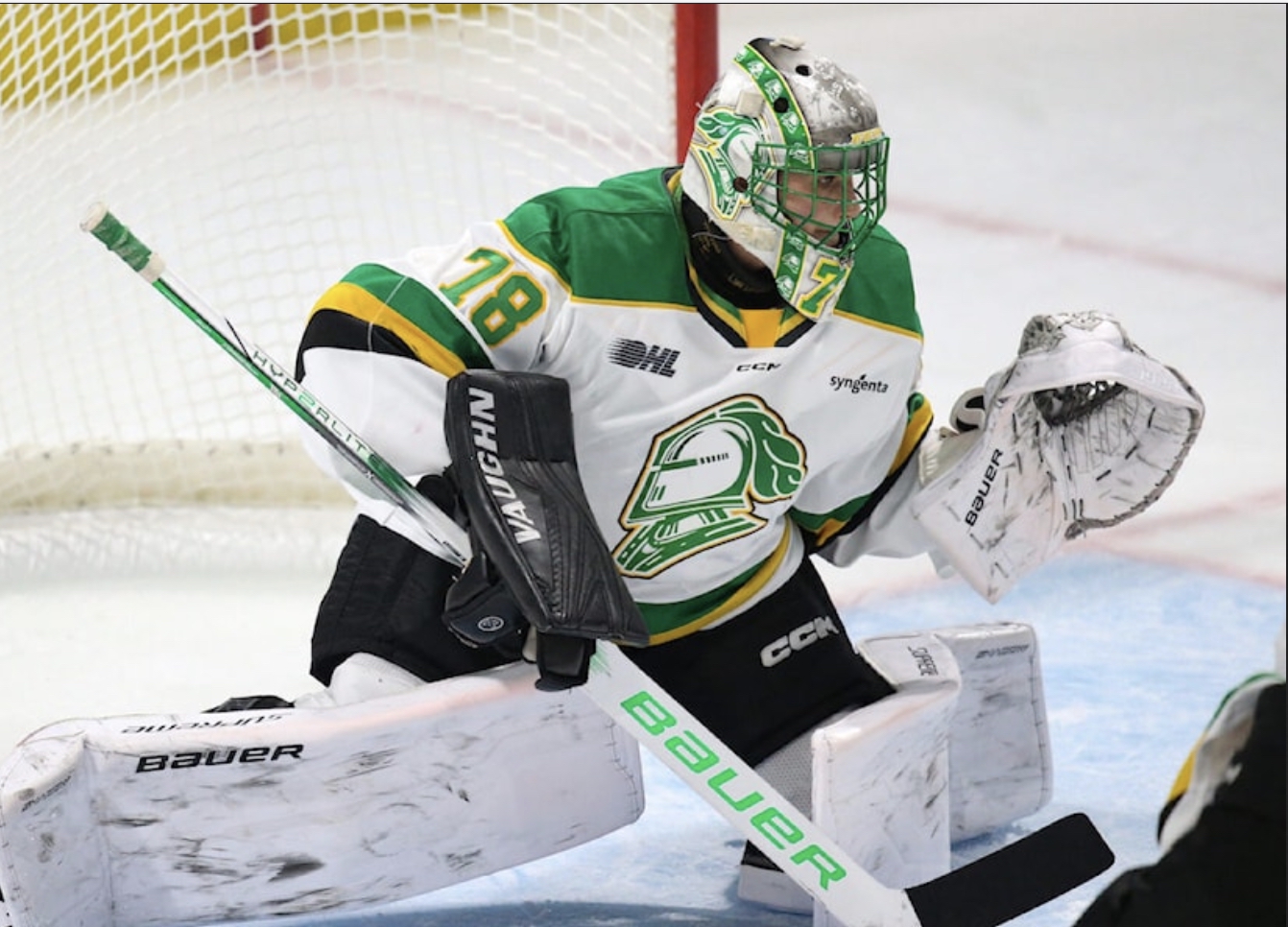 Canucks, Alexei Medvedev