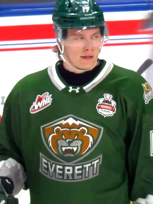 Silvertips, Miettinen